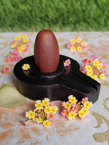 Shiv Linga | Shivling Narmadeshwar